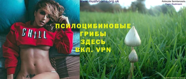 МДМА Алексеевка