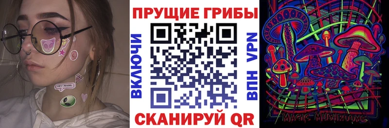хочу Тулун hydra сайт Галлюциногенные грибы Psilocybe